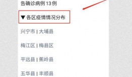 新型冠病毒最新爆料,病毒变异追踪与全球防控策略解析